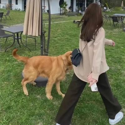 少年包拯之双鱼诡事