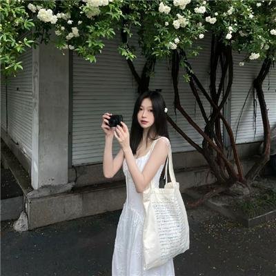 汪喵物语 在线观看